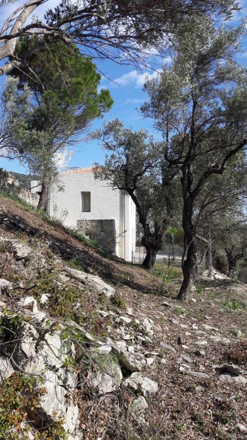 Vila House Λ Moni Evaggelistrias Exteriér fotografie
